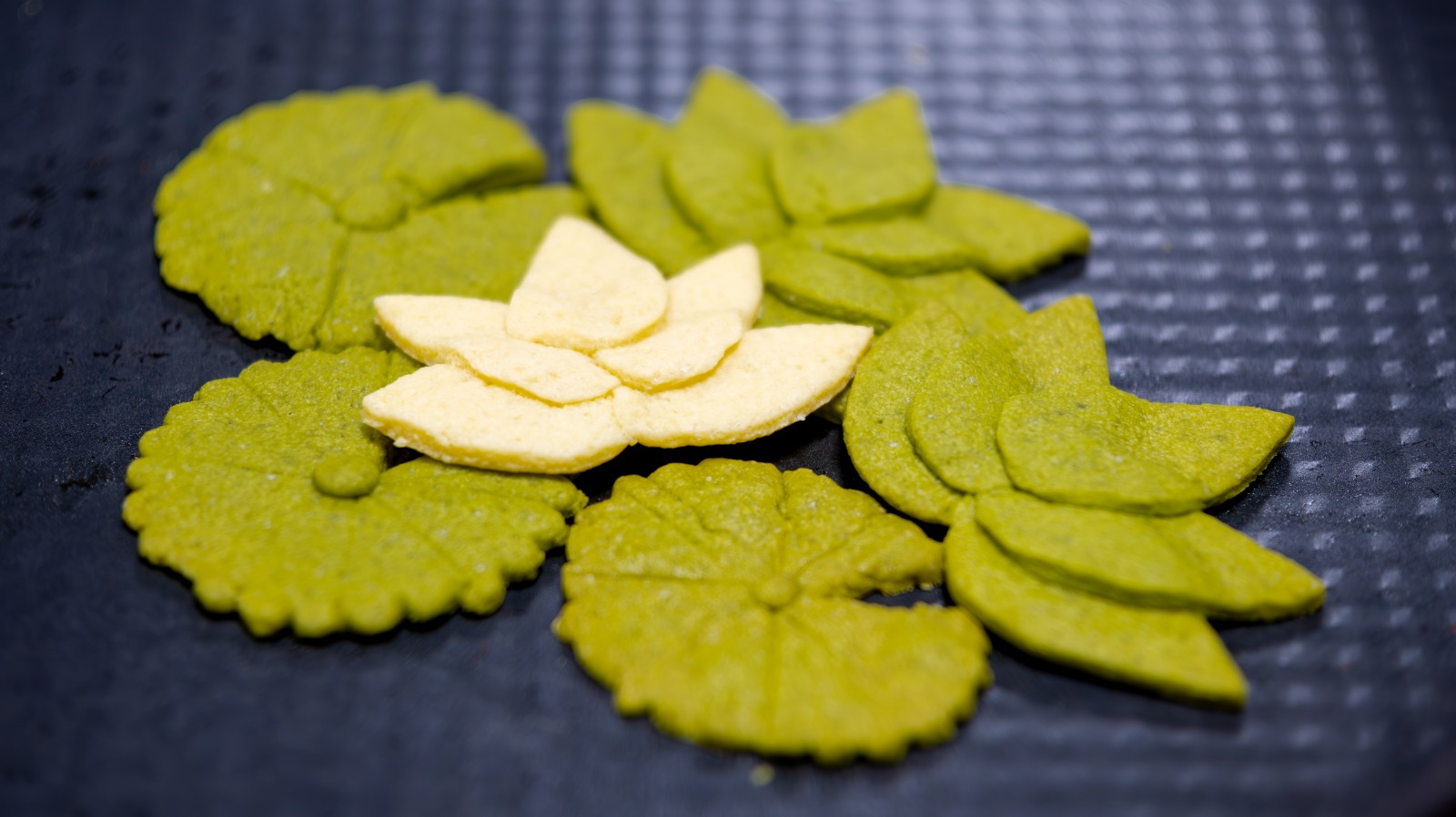 DSC_1937-已增强-降噪.jpg DSC_1937-已增强-降噪.jpg