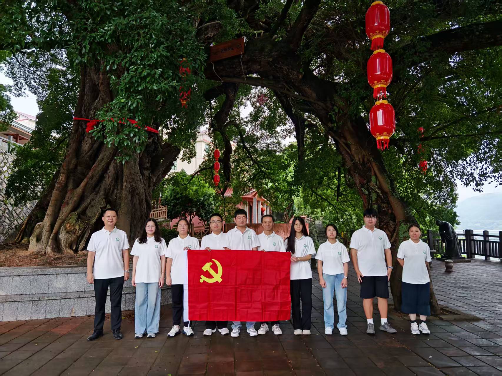 炉下榕树2.jpg 炉下榕树2.jpg