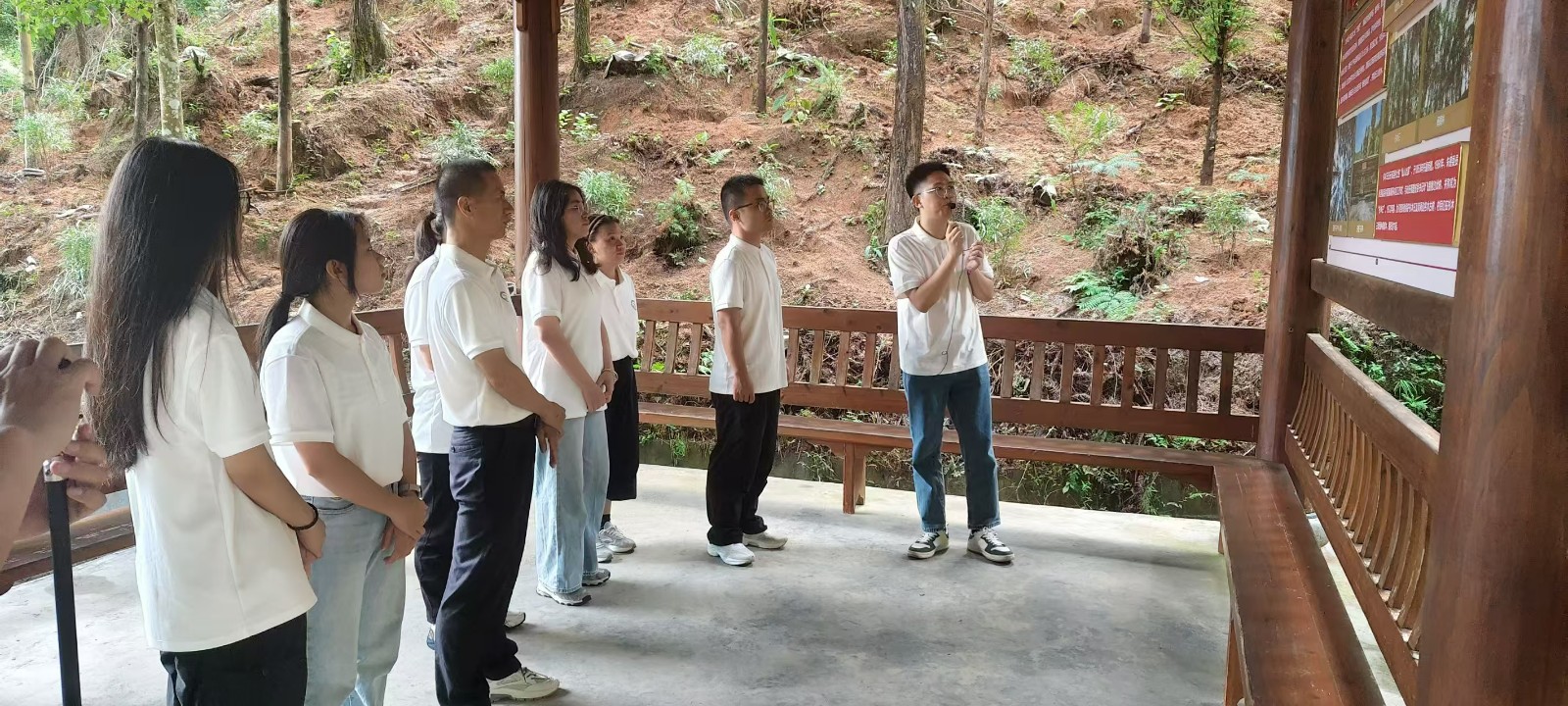 安槽下丰产林.jpg 安槽下丰产林.jpg